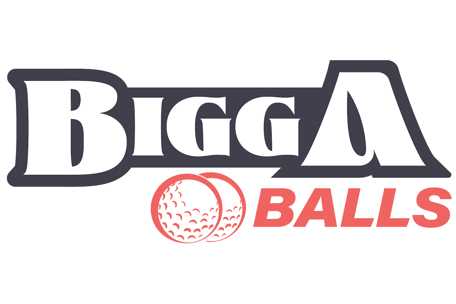 Bigga GMB 1500 x 1000 (1)